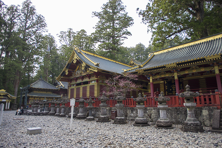旅行,日本,東京,観光,おすすめ,世界遺産,日光,社寺